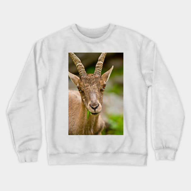 Ibex Crewneck Sweatshirt by jaydee1400